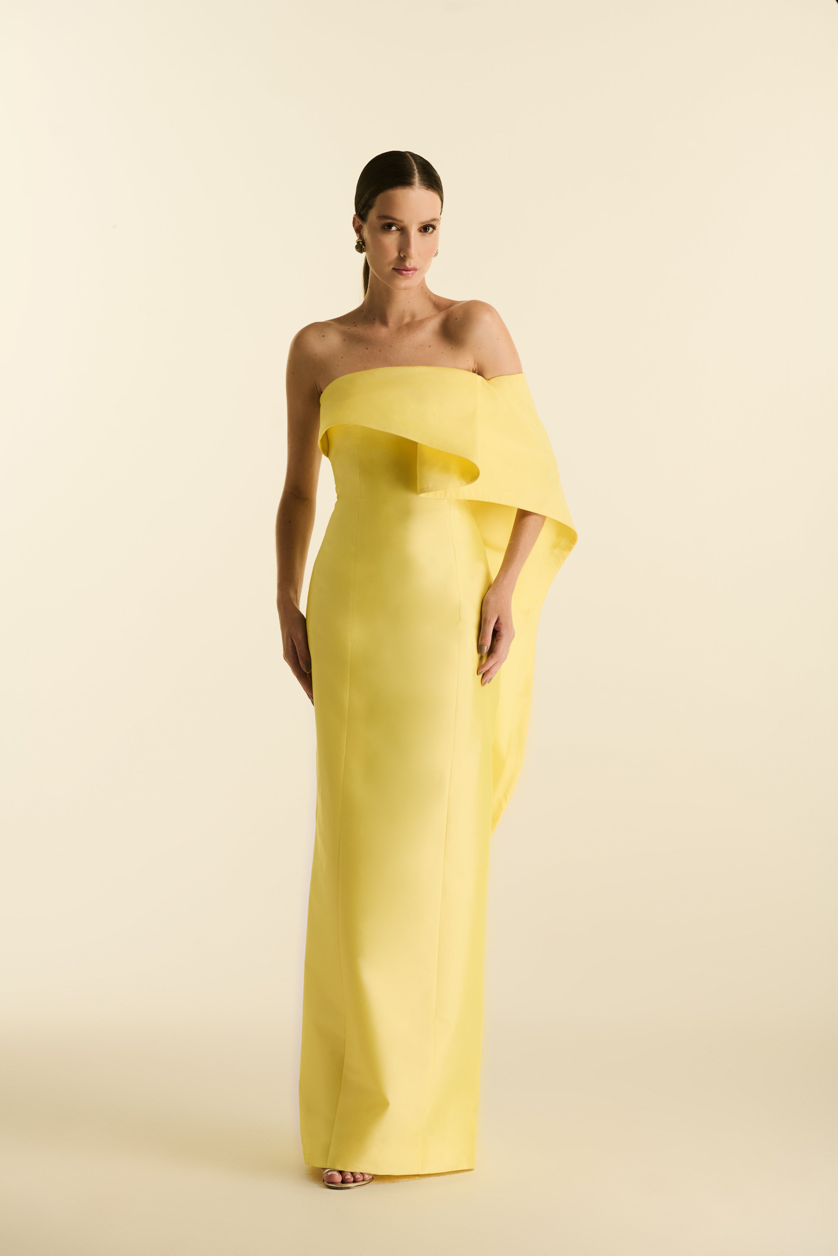 Vestido Longo em Tafetá